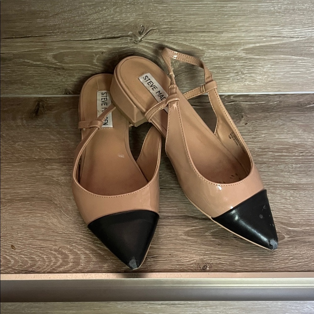 Steve Madden Women's Black and Tan Pointed Flats